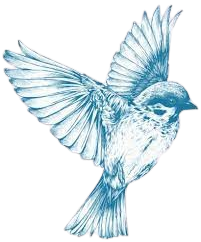 Mental health practitioner and mentor